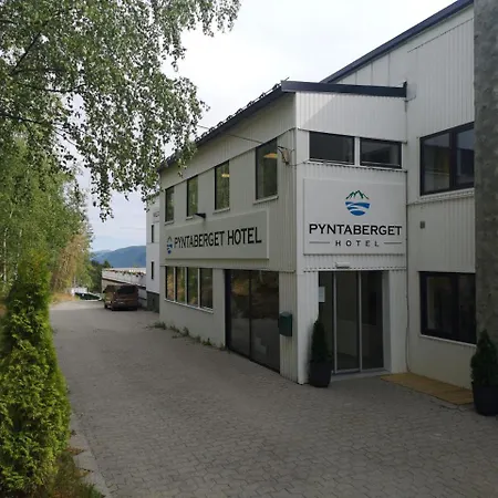 Pyntaberget Sor-Fron